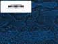 Preview: RESTSTÜCK Tolex Tube-Town Snakeskin Electric Blue, min. 100 x 40 cm