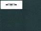 Preview: Tolex Marshall-Style Levant Grün / Emerald Bronco