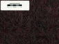 Preview: Tolex Tube-Town Western-Style redwine