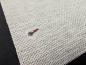 Preview: Grillcloth British Cream - FRET00026 - 80 x 100 cm