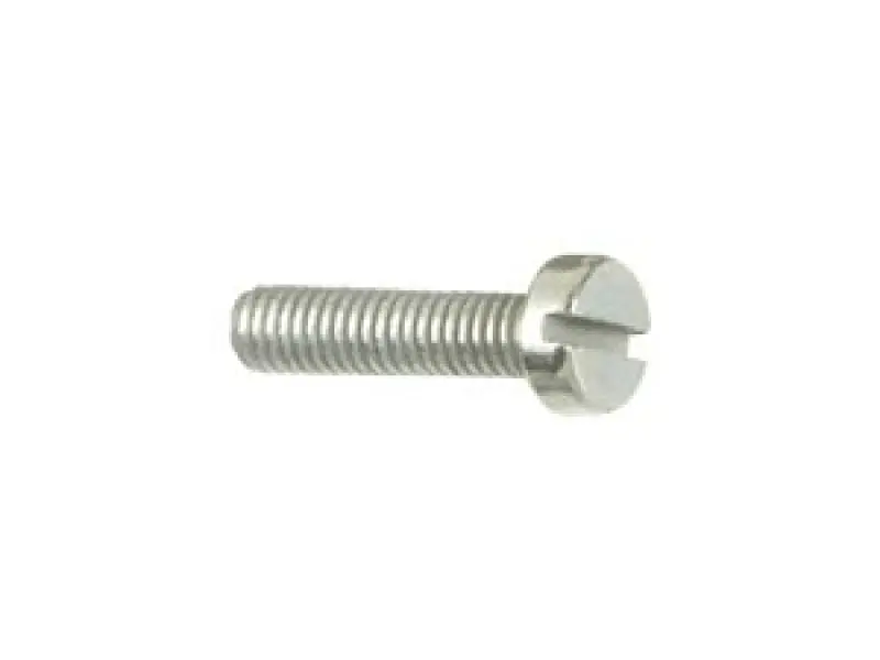 Pan Head Screw M4 x 6 mm, DIN 84 / ISO 1207