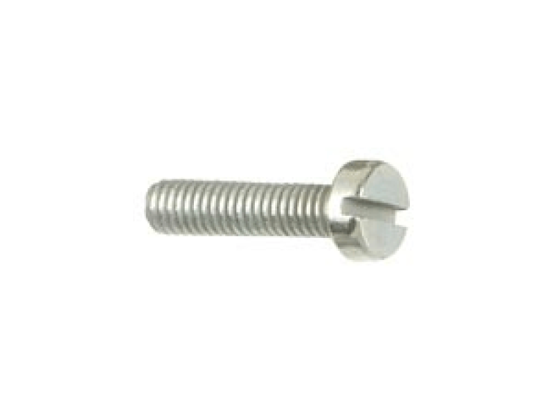 Pan Head Screw M4 x 45 mm, DIN 84 / ISO 1207