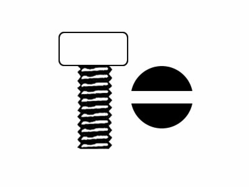 Pan Head Screw M4 x 45 mm, DIN 84 / ISO 1207