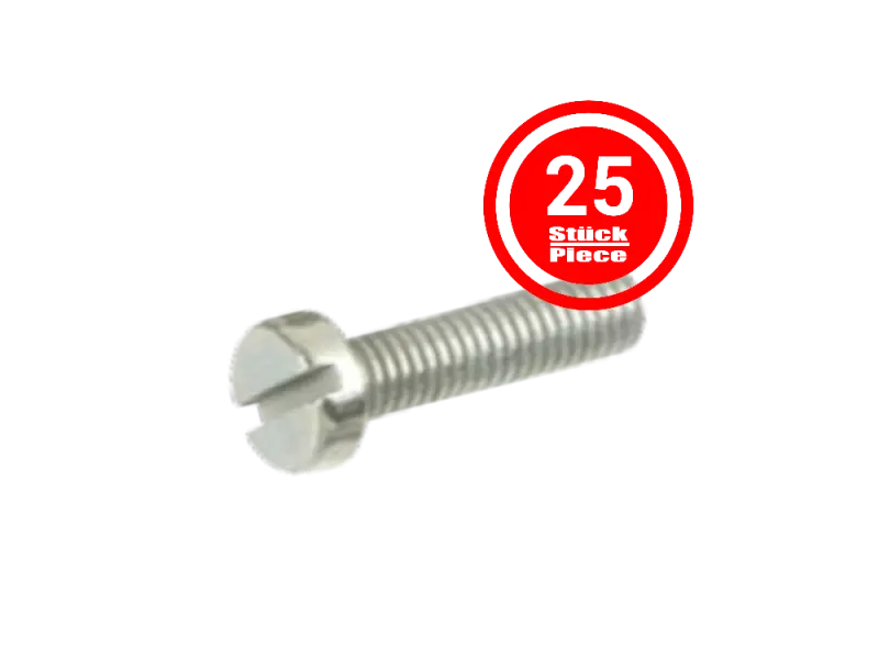 Zylinderkopfschraube M3 x 6 mm, DIN 84 / ISO 1207 - 25er Pack