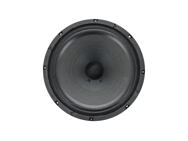 Tonespeak Birmingham 1250 12" / 75 W / 8 Ohm