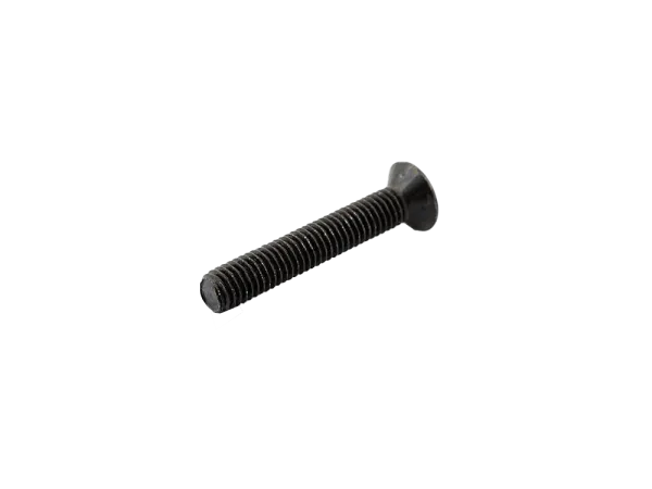 Linsensenkkopfschraube M5 x 30 mm SCHWARZ, DIN 966 / ISO 7047