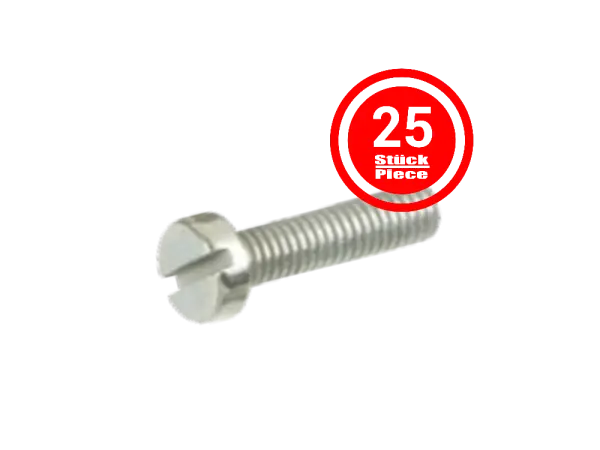 Zylinderkopfschraube M3 x 6 mm, DIN 84 / ISO 1207 - 25er Pack