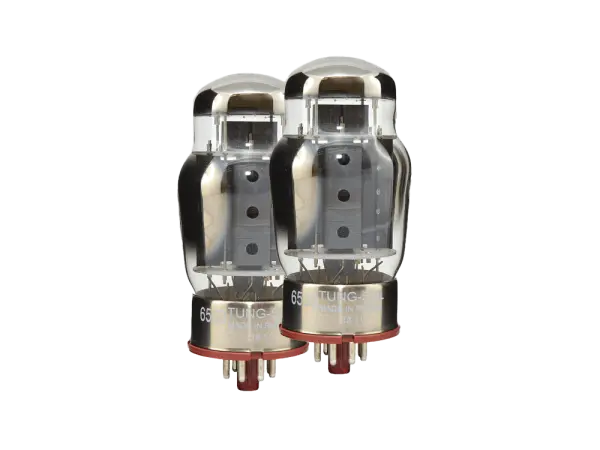 Tung-Sol 6550 Reissue - PAAR